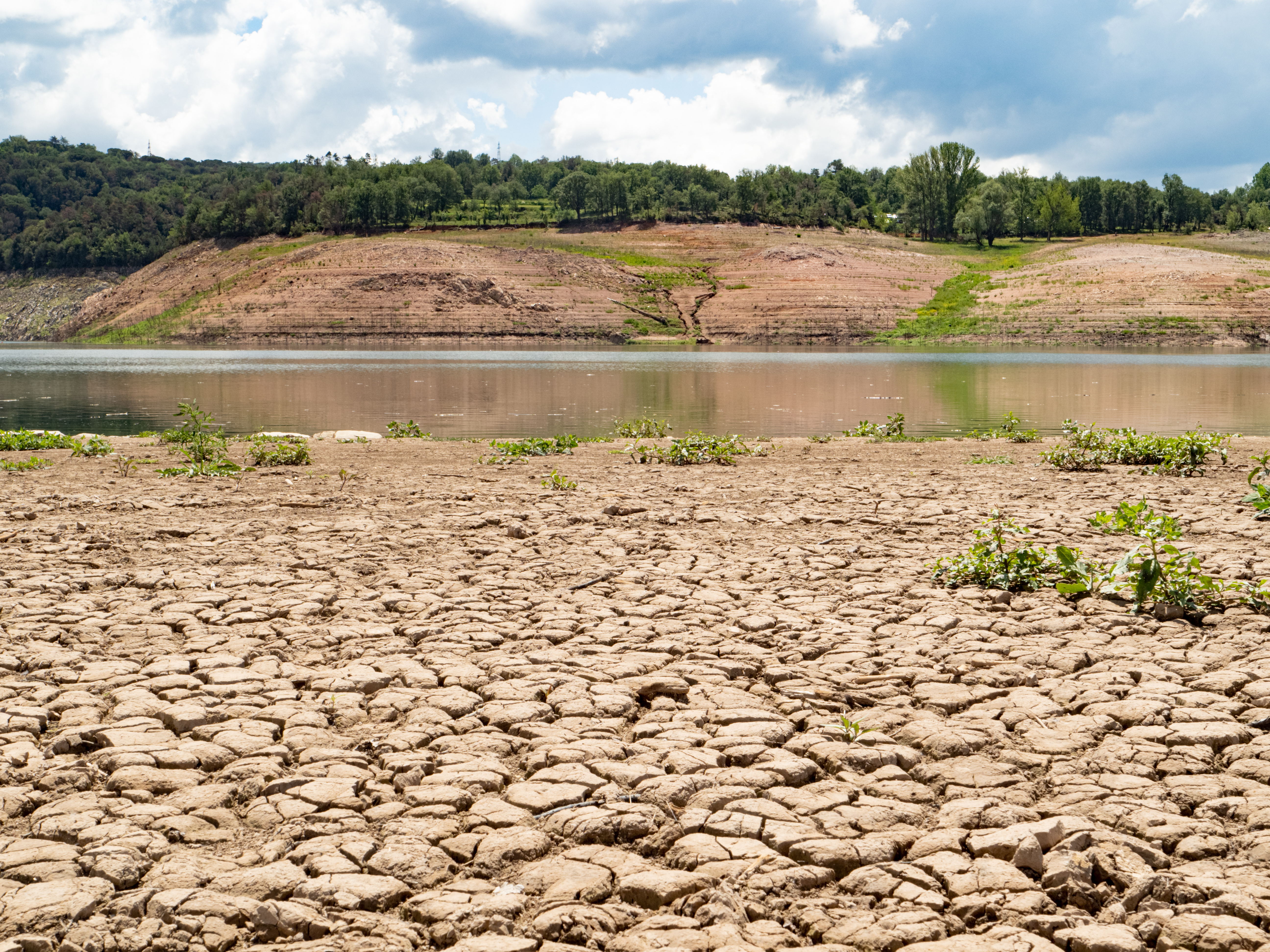 Suša i niski vodostaji otkrivaju razmere klimatske krize
